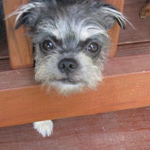 Meet your Posher, Cathy