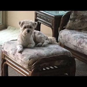 Meet your Posher, Beatrice