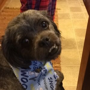 Meet your Posher, Cazzie