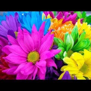 Meet your Posher, Lanee