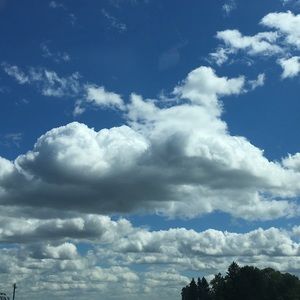 Meet your Posher, Talia