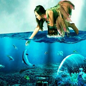 Meet your Posher, Brooklyn