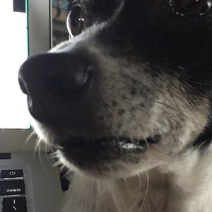 Meet your Posher, Anna