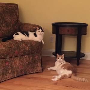 Meet your Posher, Sonji