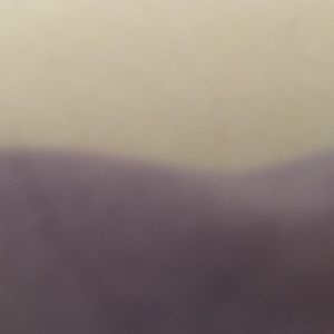 Meet your Posher, Shonna