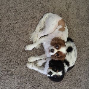 Meet your Posher, Nancy