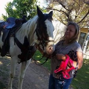 Meet your Posher, Rose