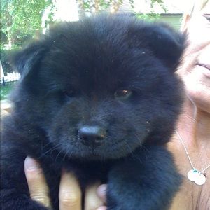 Meet your Posher, Carlie