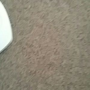 Meet your Posher, Luis