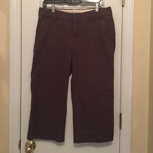 Gap Favorite Chino Cropped