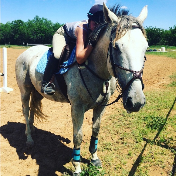 Meet your Posher, Rosie - Picture 1 of 1