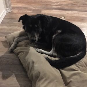 Meet your Posher, Kara