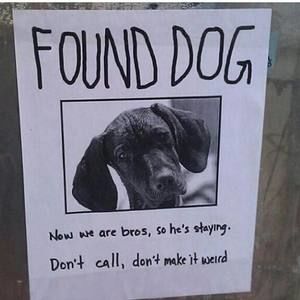 Meet your Posher, Tara