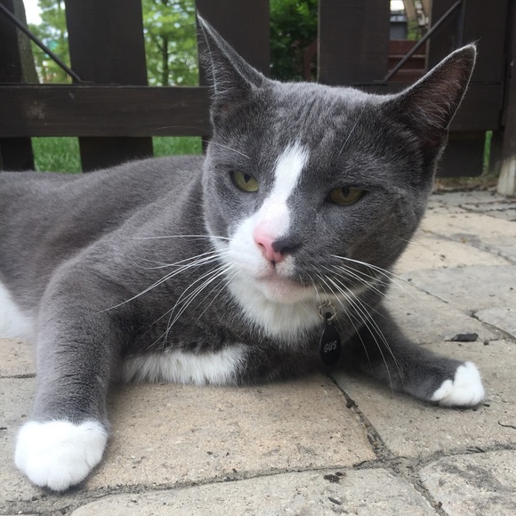 Meet your Posher, Ashleigh - Picture 1 of 1