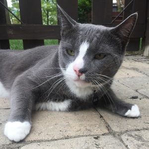 Meet your Posher, Ashleigh