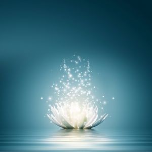 Meet your Posher, Cherie