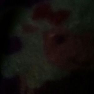 Meet your Posher, Alejandra