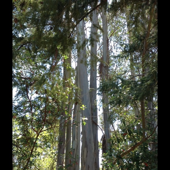 Meet your Posher, Heidi