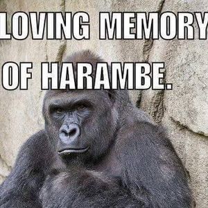 Meet your Posher, Zackandrosalyn