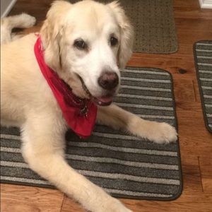 Meet your Posher, Alex