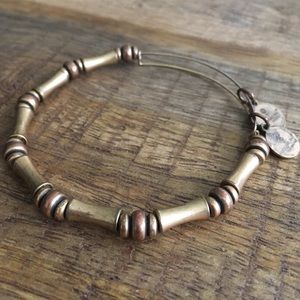 Slightly Worn - Alex and Ani Bamboo Beaded Bangle