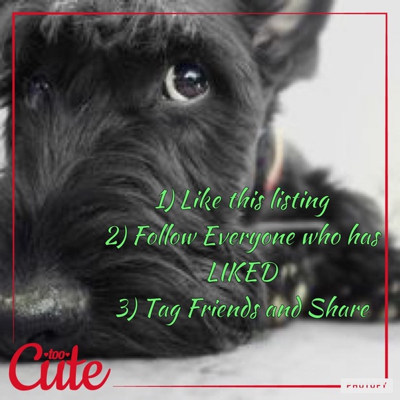 FOLLOW GAME - Picture 2 of 3