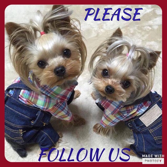 FOLLOW GAME - Picture 3 of 3