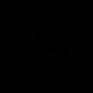 Meet your Posher, Tamara