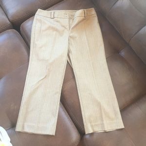 New York and Company Crops