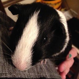 Meet your Posher, Leah