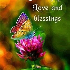 Meet your Posher, Annie