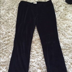 Black velvet plants 16P