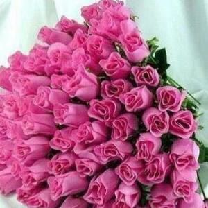 Meet your Posher, Mayada