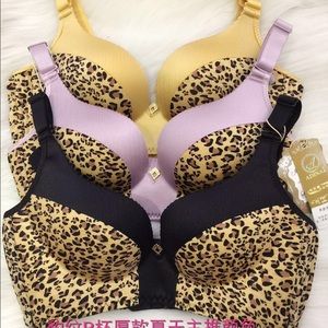 Leopard Print Wireless Bra & Free underwear!