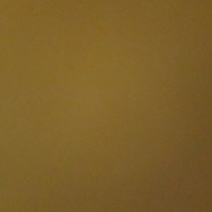 Meet your Posher, Janna