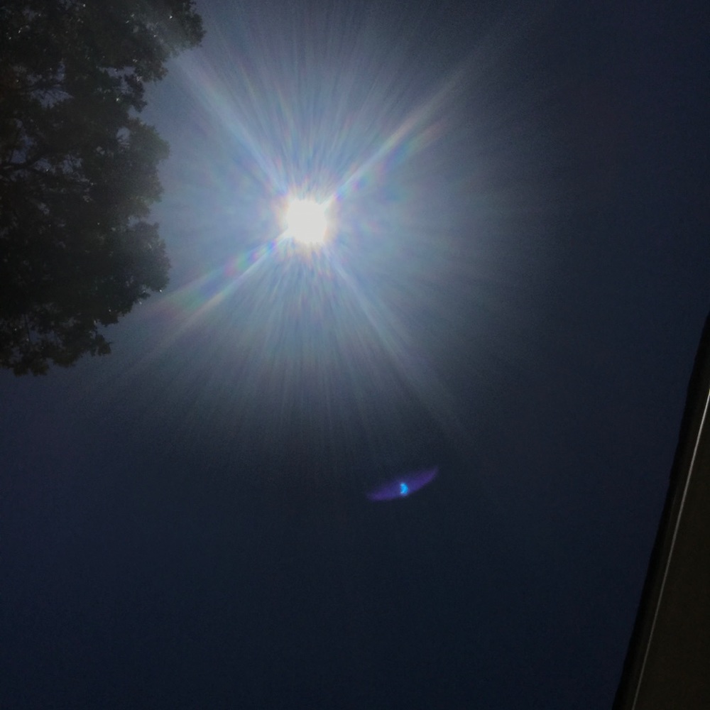 Meet your Posher, Carrie