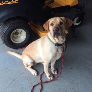 Meet your Posher, Jackie