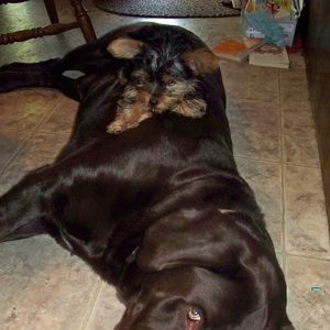 Meet your Posher, Summer lynn