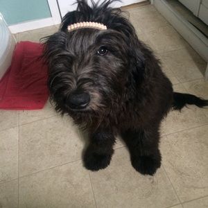 Meet your Posher, Faith