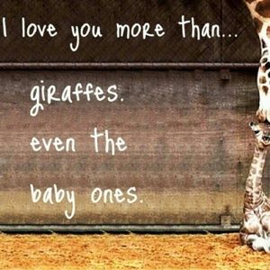 Meet your Posher, Audrey