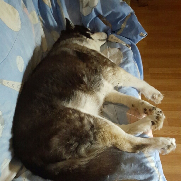 Meet your Posher, Zindy - Picture 1 of 1