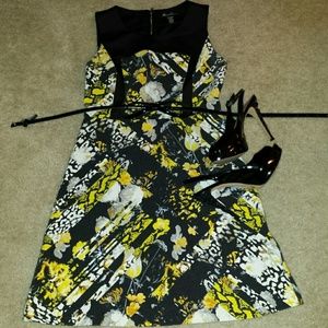 Kenneth Cole fit and flare dress. Size 6P