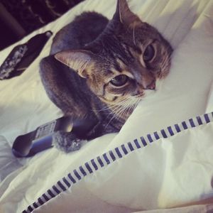 Meet your Posher, Katie