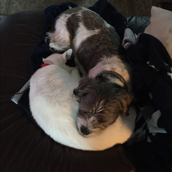 Meet your Posher, Nick - Picture 1 of 1