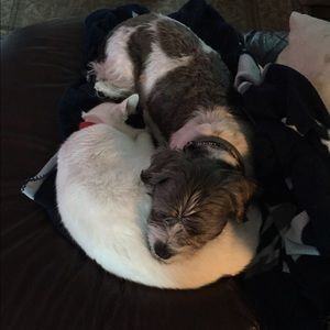 Meet your Posher, Nick