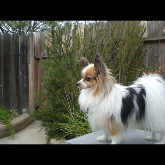 Meet your Posher, C - Picture 1 of 1