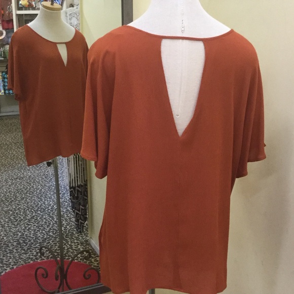 Double Vee Tunic PLUS - Picture 4 of 4