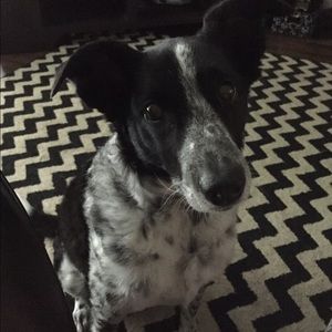 Meet your Posher, Kaylee