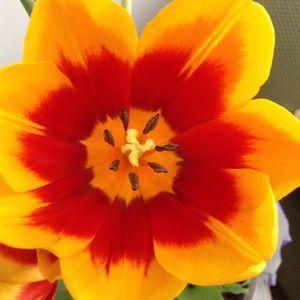 Meet your Posher, Terry