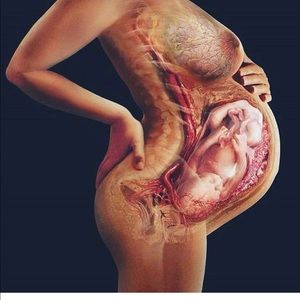 Meet your Posher, Jasmine